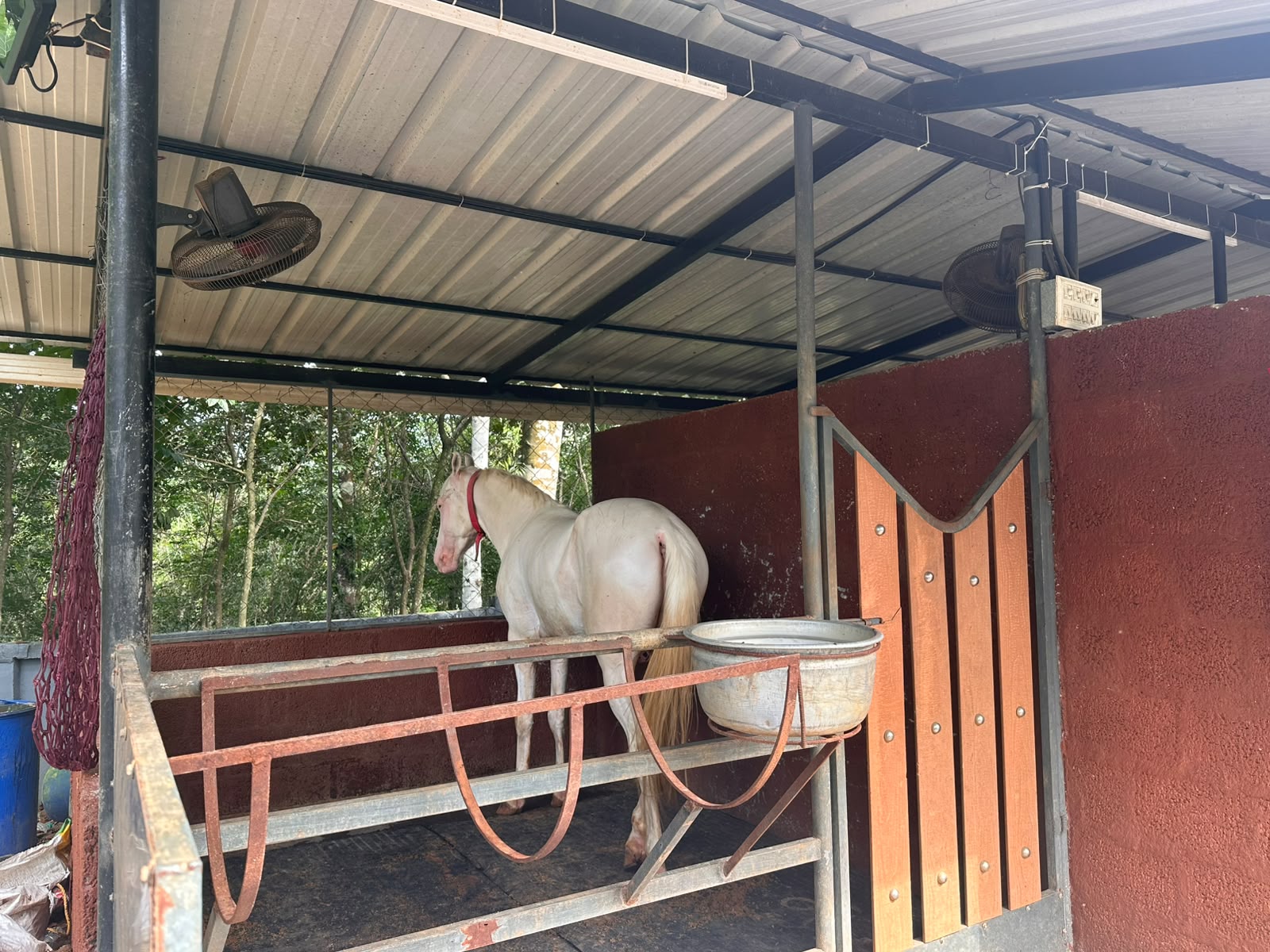 Horse Care