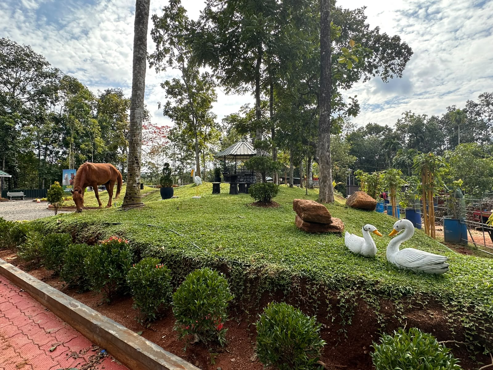 SB Farm