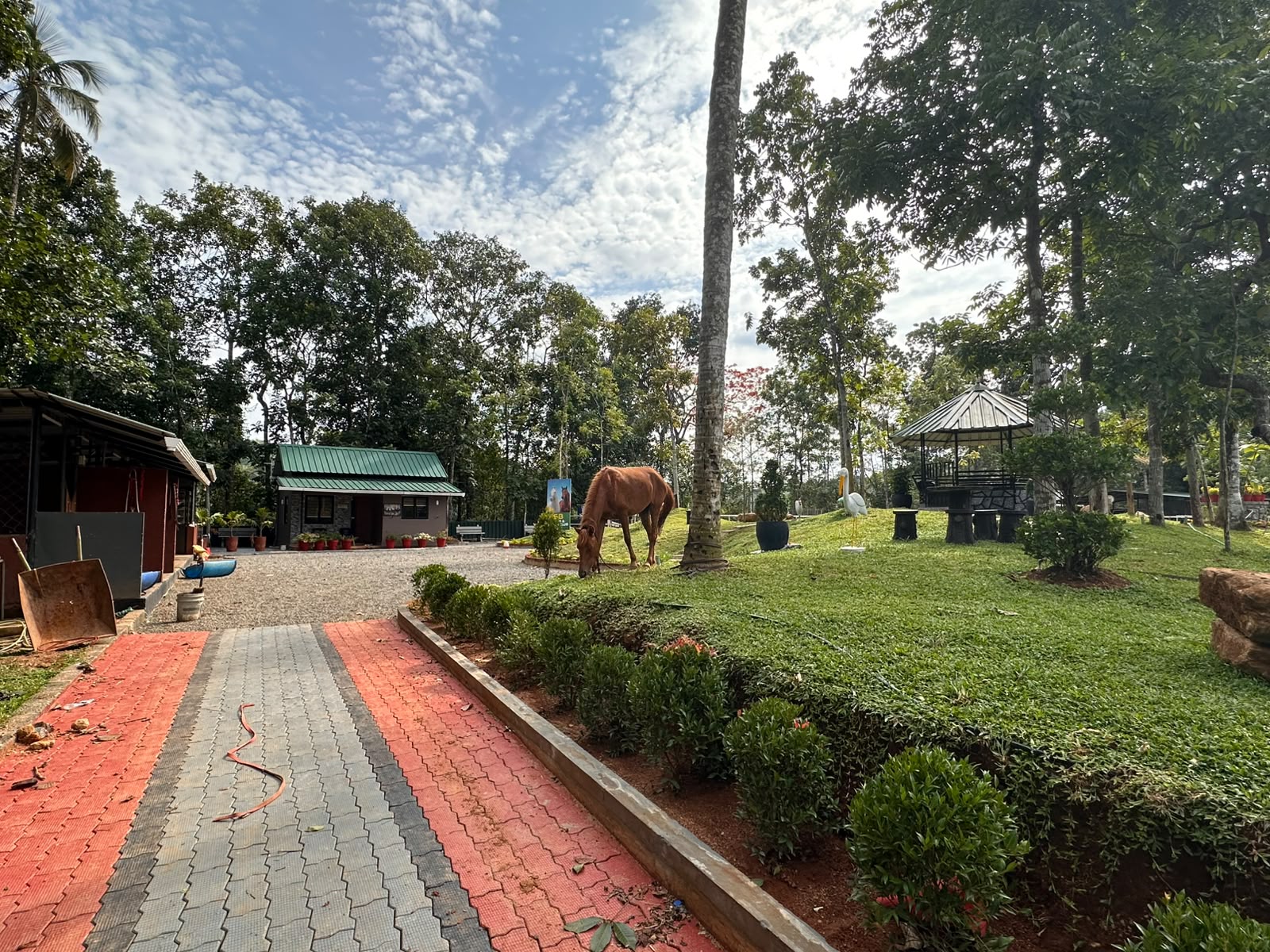 SB Farm